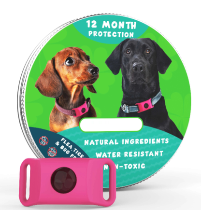 ⏰Last Day 60% OFF-🐕12 Months Flea and Tick Free